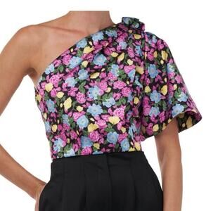 Amur One Shoulder Floral Print Crop Anastasia Flounce Top NWT XXS